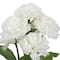 White Carnation Bush by Ashland&#xAE;